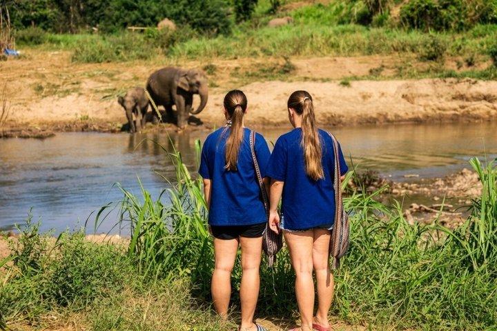 3-en-1 : visite de Doi Inthanon, sanctuaire des éléphants et sentier de randonnée