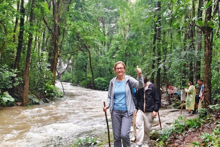 3-en-1 : visite de Doi Inthanon, sanctuaire des éléphants et sentier de randonnée