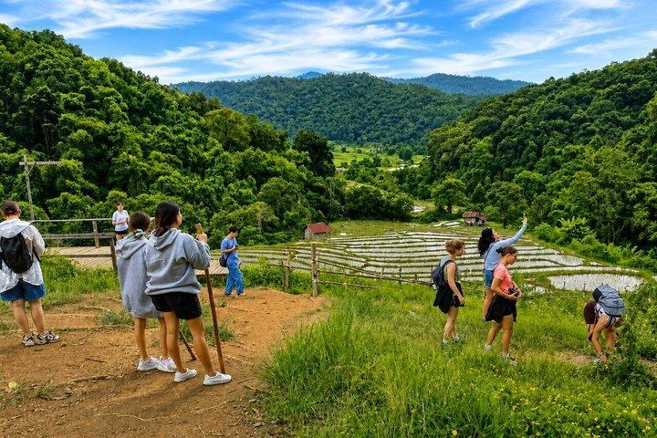 3-in-1: ドイ インタノン ツアー、象保護区、トレッキング トレイル