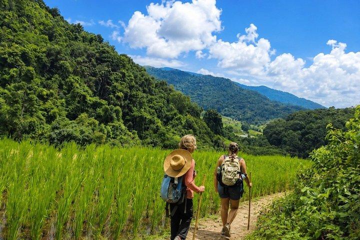 3-in-1: ドイ インタノン ツアー、象保護区、トレッキング トレイル