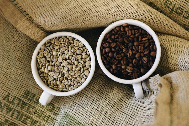 トリノでイタリア語コーヒーのテイスティング体験