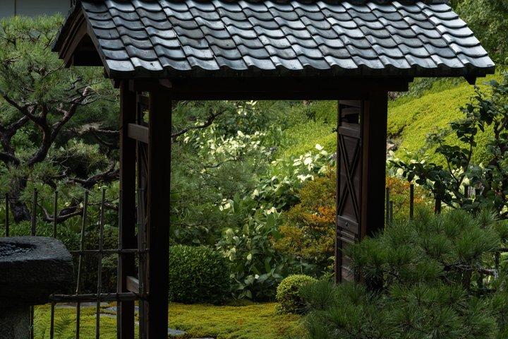 ドイツ語または英語でのプライベート禅寺＆茶道体験