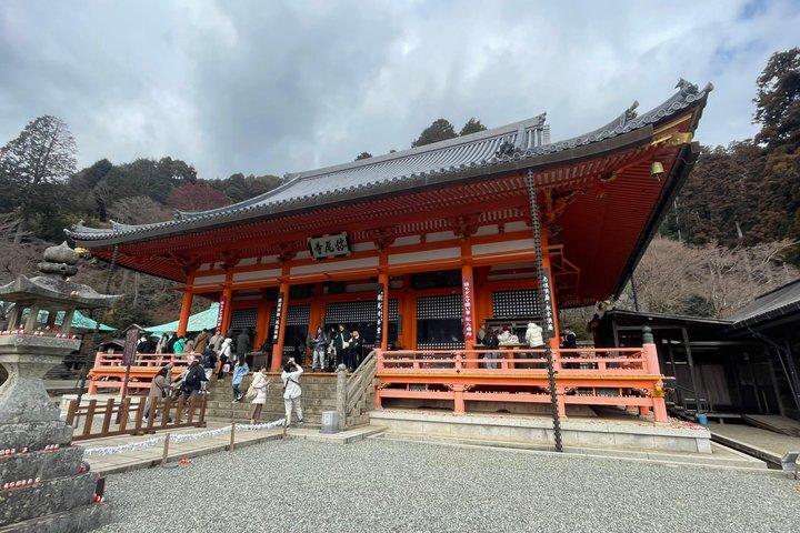 勝雄寺と箕面滝のツアー