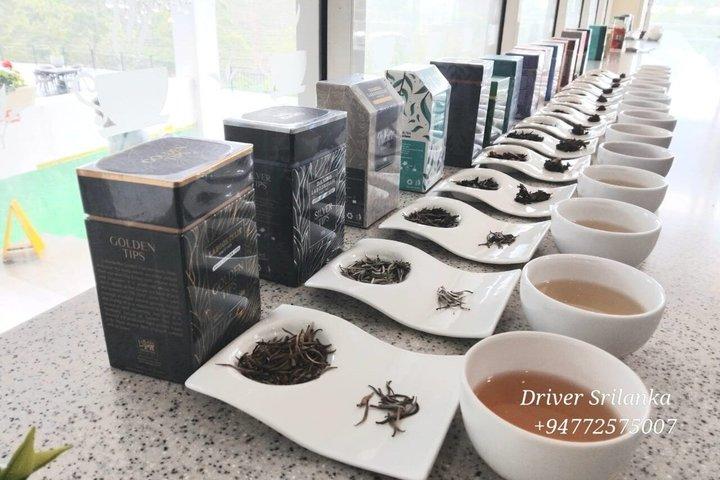 スリランカでのプライベート複数日ツアー(専属ドライバー付き)