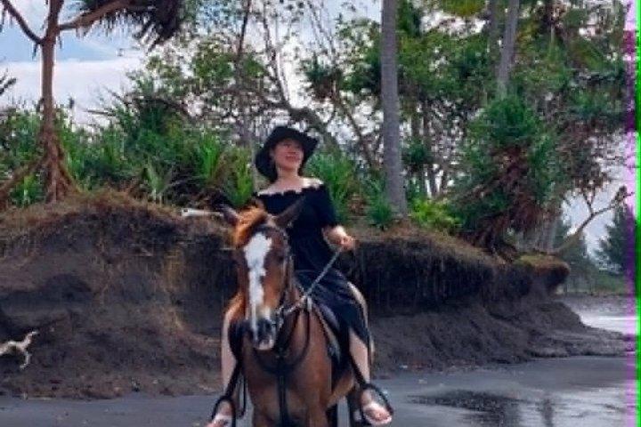 プライベート・バリ・ホースライドとシュノーケリングの料金に含まれるもの