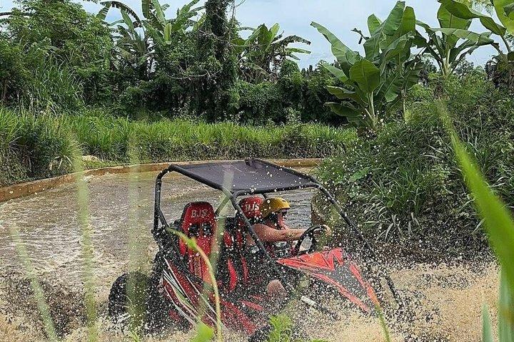 Ubud Buggy Ride Private Bali UTV Adventure