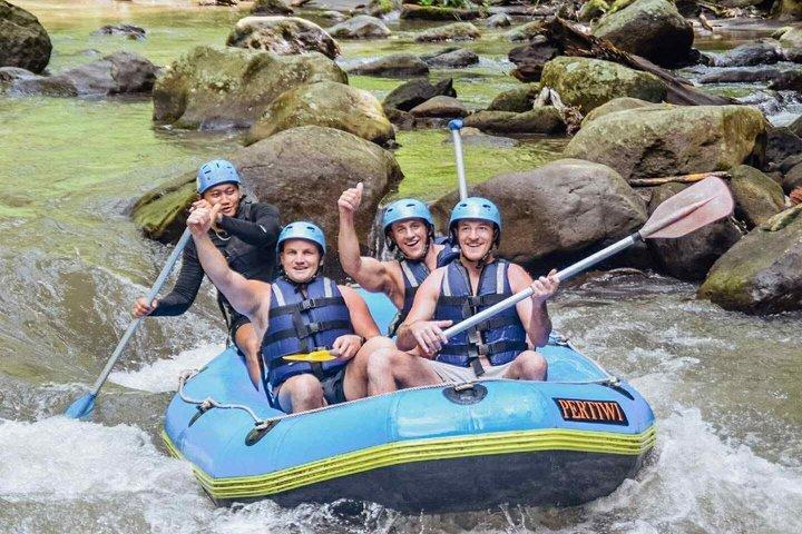 Full day ubud Tour commbine Bali Rafting