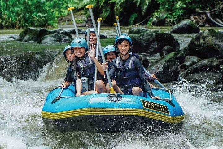 Full day ubud Tour commbine Bali Rafting