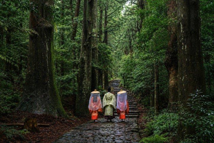2 Day Private Kumano Kodo Journey: Shrines, Waterfalls and Coast