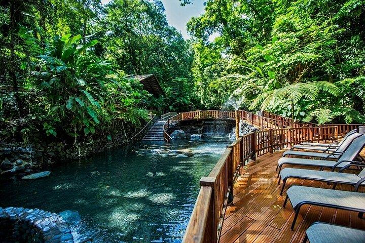 Rainforest Falls & Volcano Hike + Paradise Hot Springs