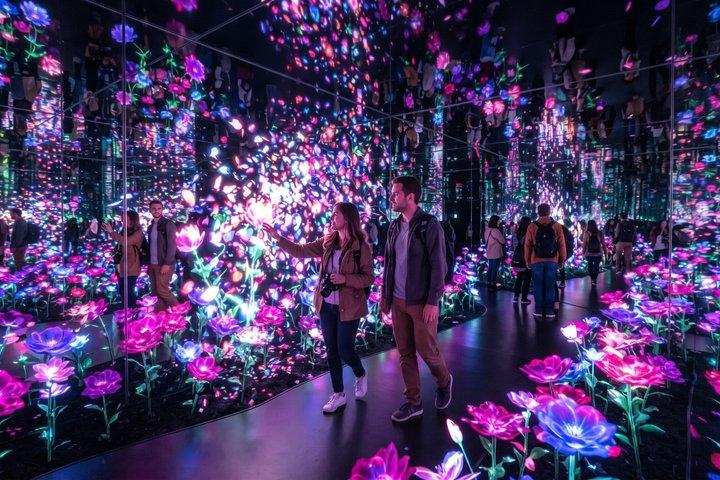 Visite privée de Tokyo : teamLab Borderless & Imperial Palace