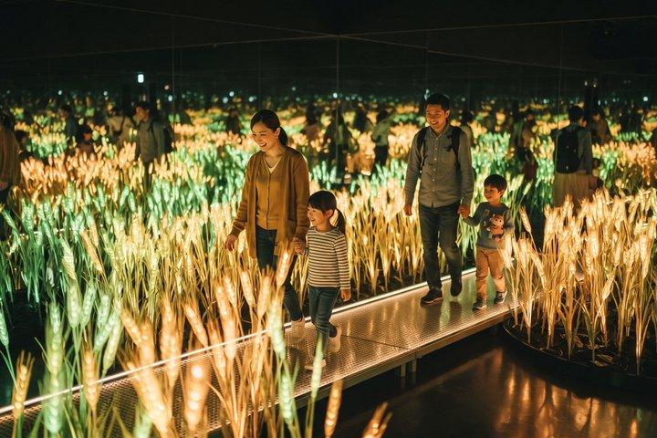 Visite privée de Tokyo : teamLab Borderless & Imperial Palace