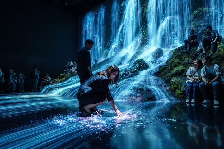 東京プライベートツアー：チームラボプラネッツ＆浅草