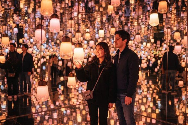 東京プライベートツアー：チームラボプラネッツ＆浅草