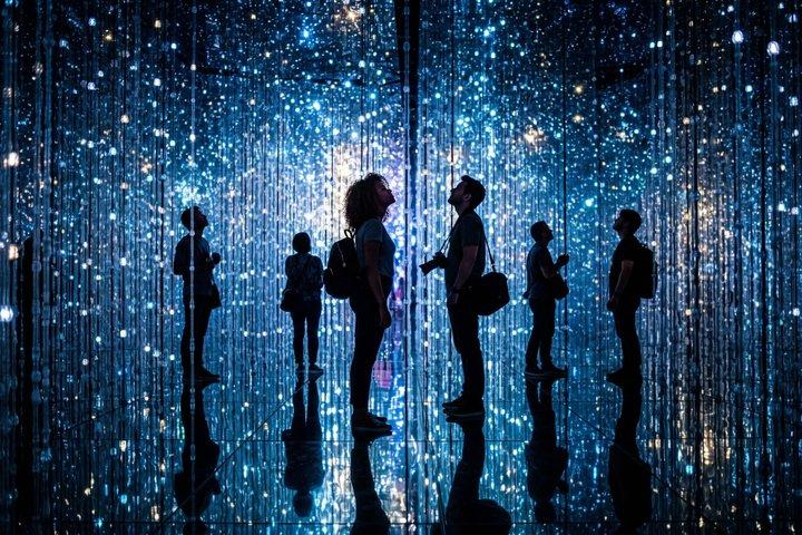 Tokyo Private Tour: teamLab Planets & Asakusa