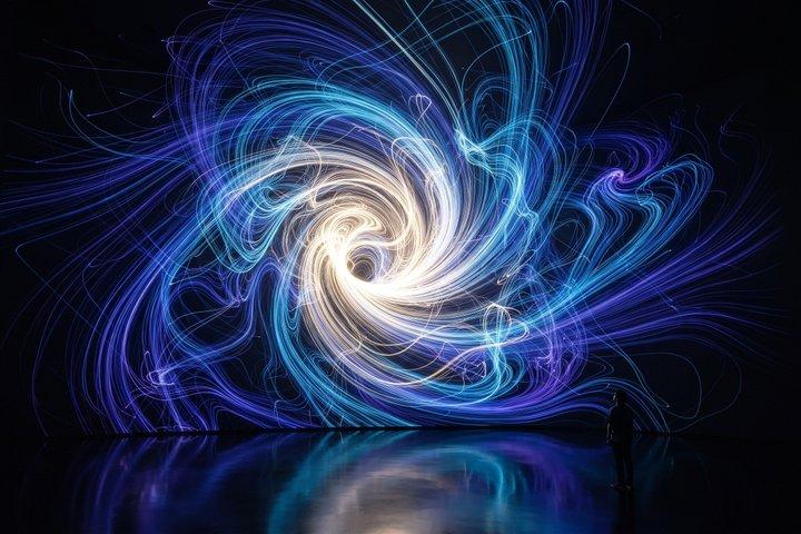 京都プライベートモーニングツアー：伏見稲荷＆チームラボバイオボルテックス