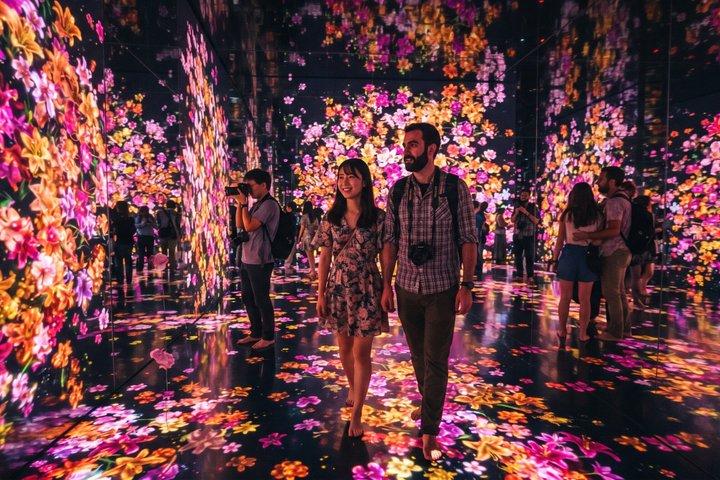 京都プライベートモーニングツアー：伏見稲荷＆チームラボバイオボルテックス