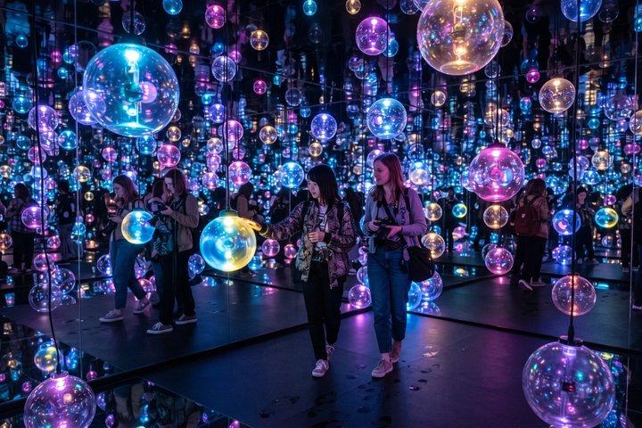京都プライベートモーニングツアー：伏見稲荷＆チームラボバイオボルテックス
