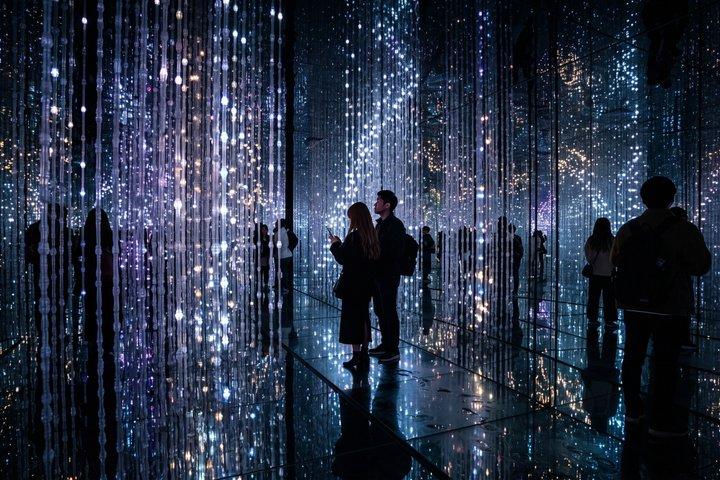 京都プライベートモーニングツアー：伏見稲荷＆チームラボバイオボルテックス