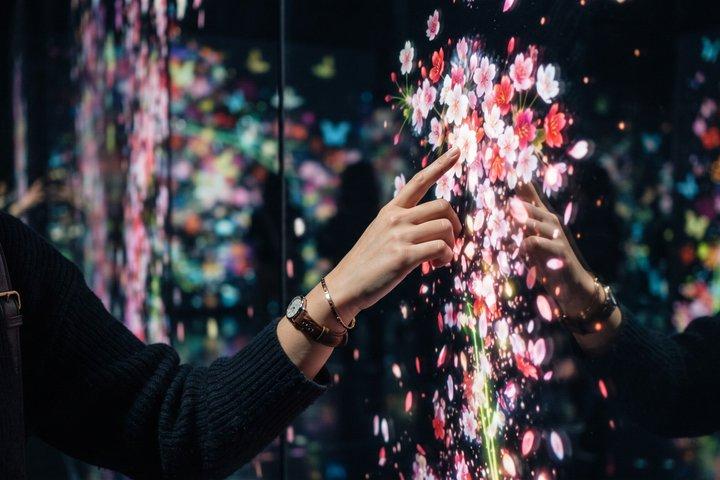 京都プライベートモーニングツアー：伏見稲荷＆チームラボバイオボルテックス