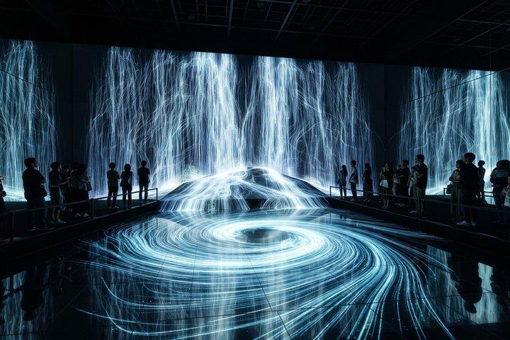 京都プライベートモーニングツアー：伏見稲荷＆チームラボバイオボルテックス