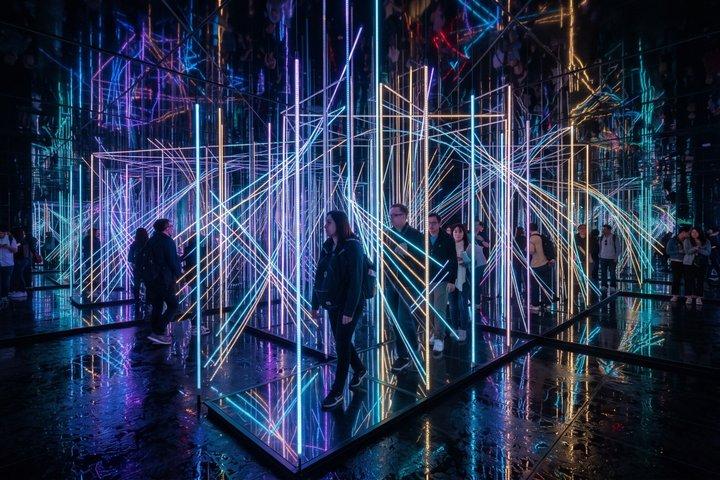 京都プライベートモーニングツアー：伏見稲荷＆チームラボバイオボルテックス