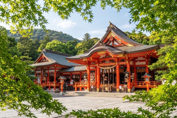京都プライベートモーニングツアー：伏見稲荷＆チームラボバイオボルテックス