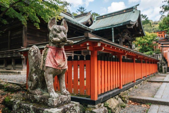 京都プライベートモーニングツアー：伏見稲荷＆チームラボバイオボルテックス