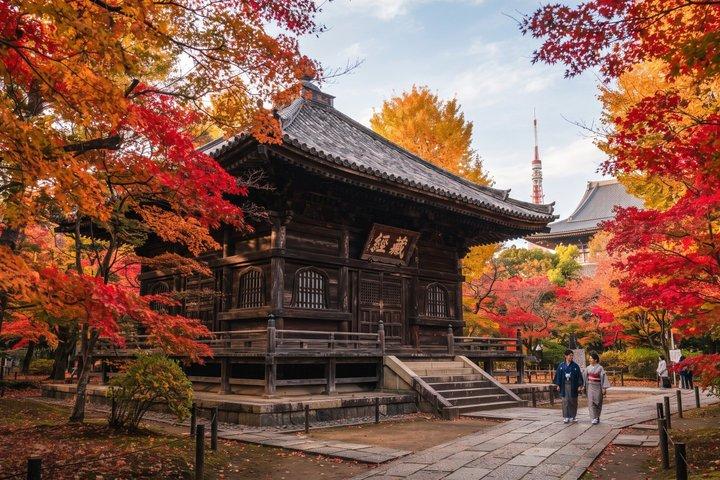 東京ナイトツアー：東京タワースカイライン＆麻布フードウォーク