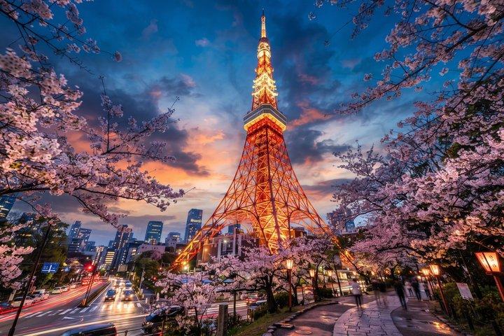 東京ナイトツアー：東京タワースカイライン＆麻布フードウォーク