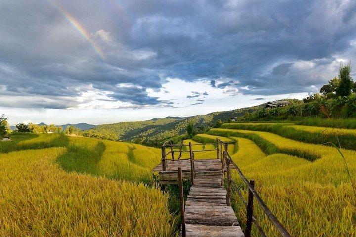 チェンマイの山岳部族での1日ジャングルトレッキングと竹筏漂流