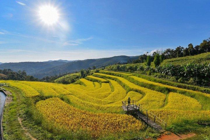 チェンマイの山岳部族での1日ジャングルトレッキングと竹筏漂流