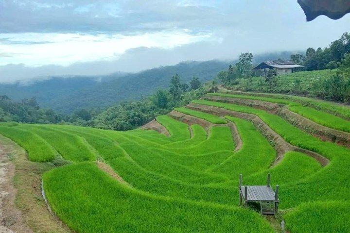チェンマイの山岳部族での1日ジャングルトレッキングと竹筏漂流