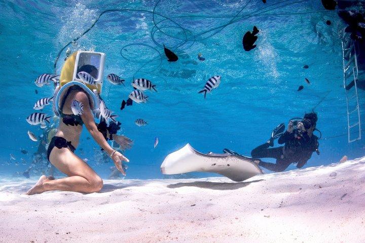 Helmet Diving Bora Bora – Underwater Walk with Aqua Safari