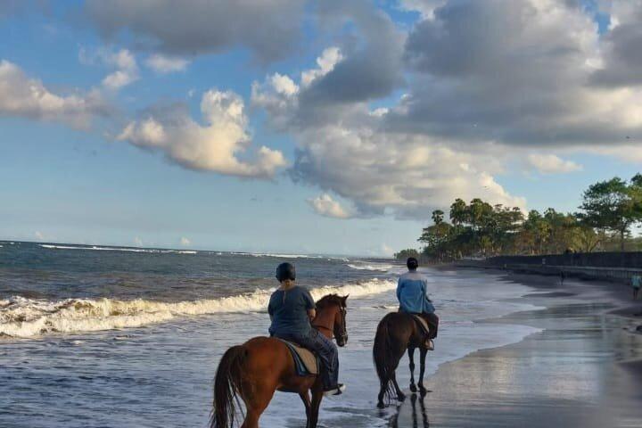 Private Bali Horse riding at saba beach