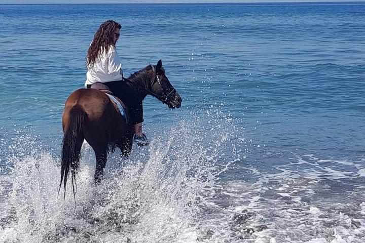 Private Bali Horse riding at saba beach