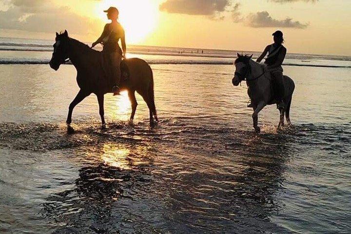 Private Bali Horse riding at saba beach