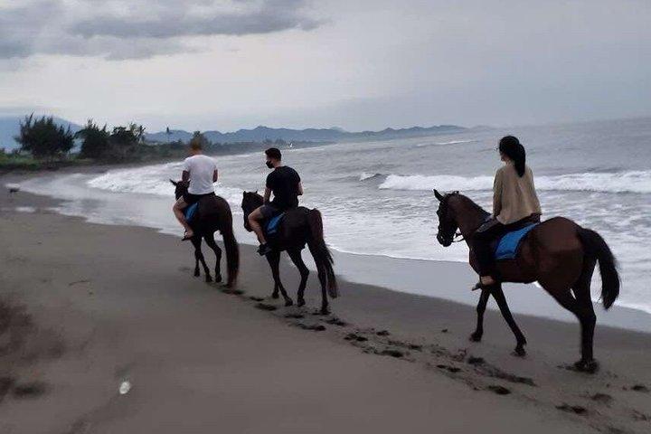 Private Bali Horse riding at saba beach