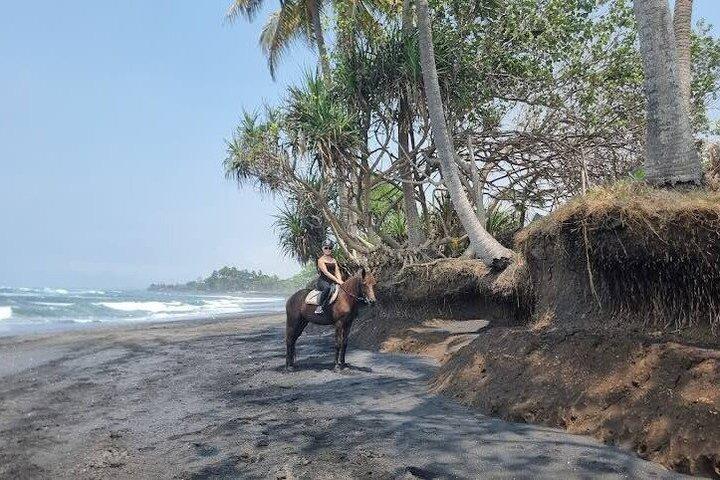 Private Bali Horse riding at saba beach