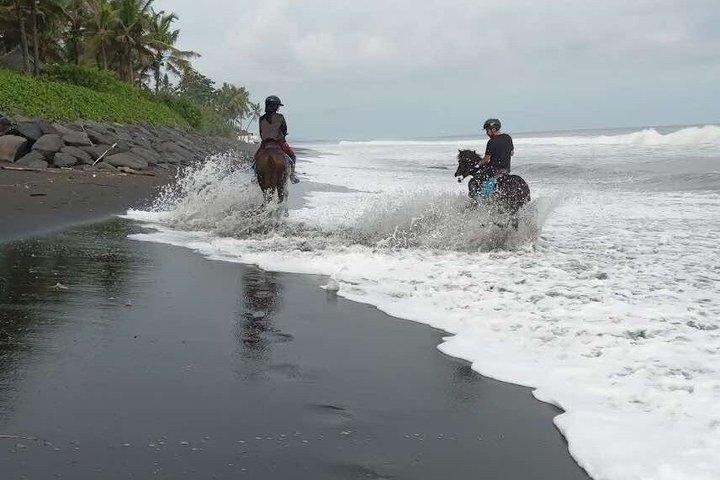 Private Bali Horse riding at saba beach