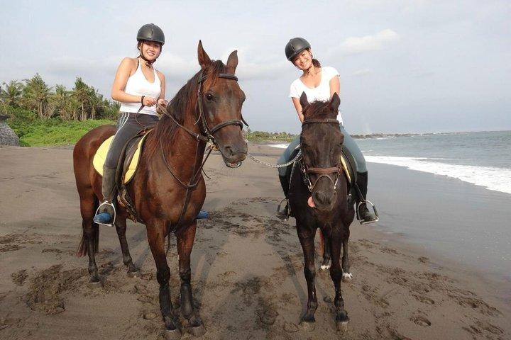 Private Bali Horse riding at saba beach