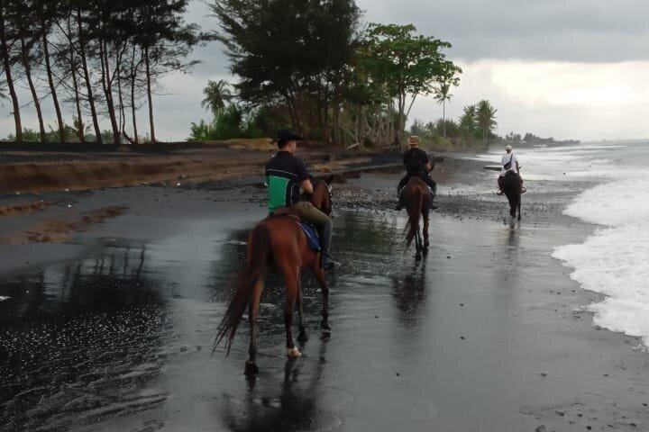 Private Bali Horse riding at saba beach
