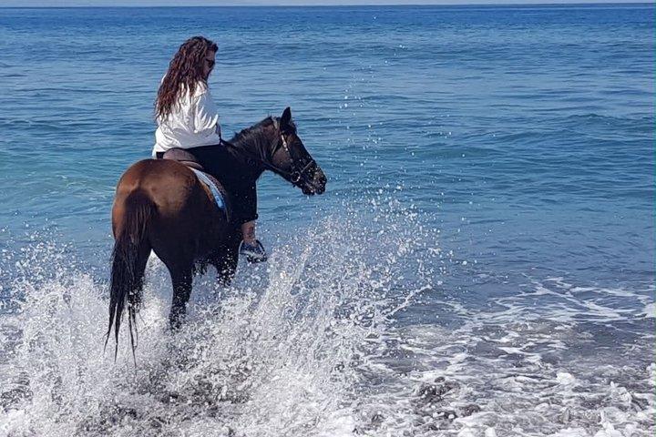 ウブド終日ツアービーチでバリ乗馬アドベンチャーを組み合わせる