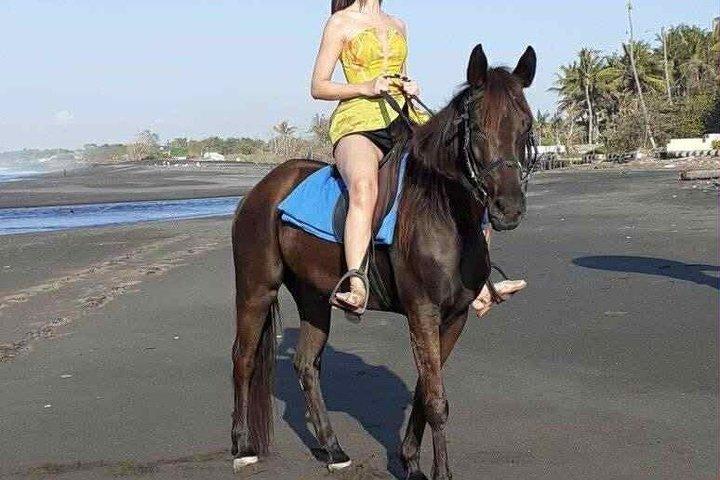 ウブド終日ツアービーチでバリ乗馬アドベンチャーを組み合わせる