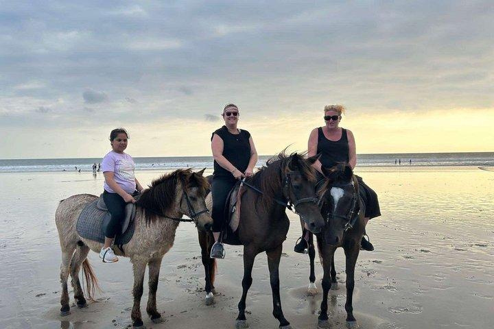 ウブド終日ツアービーチでバリ乗馬アドベンチャーを組み合わせる