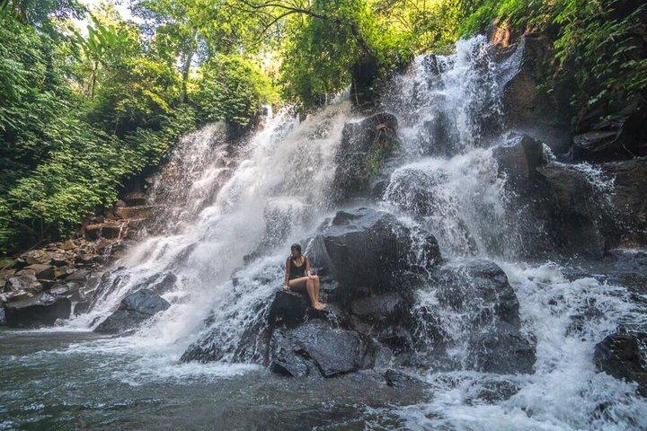 Fuld dag Privat vandfald og Ubud tur