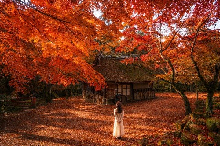Viertägige Kyoto Nara Osaka Kobe Private Tour