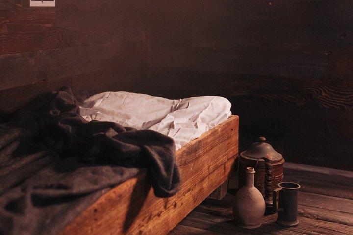 ゴッホとヴィンセント展 クラクフ入場券