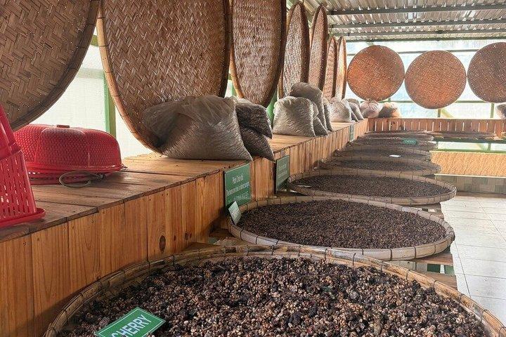 Da Lat Countryside Escape: tour condiviso in minivan