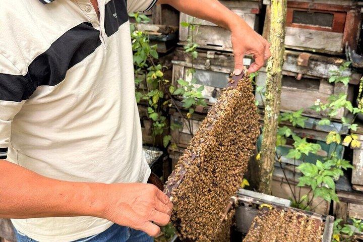 Da Lat Countryside Escape: tour condiviso in minivan
